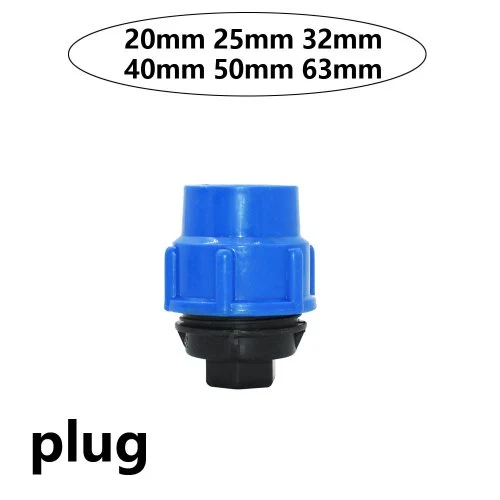 Plug