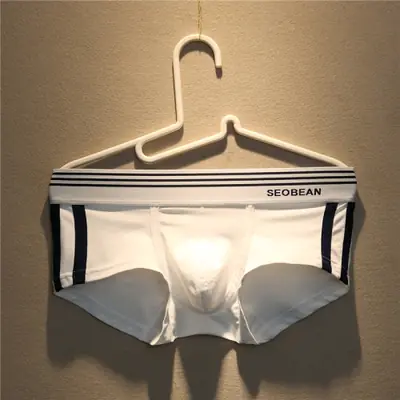 Image de Boxers Homme Coton Respirant - Coupe Ajustée & Sexy