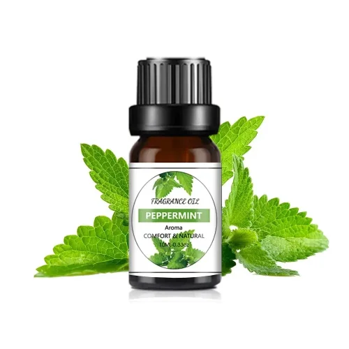 Menta