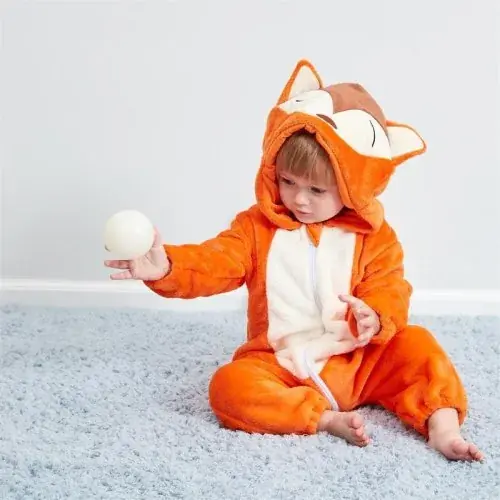 Renard