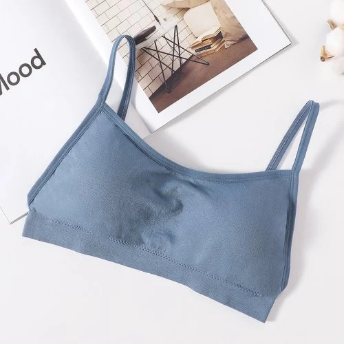 Style2 blau