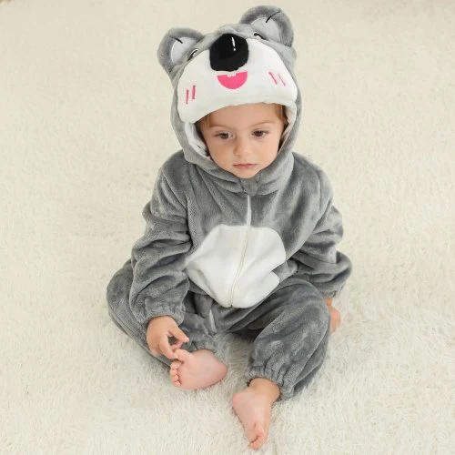 Koala gris