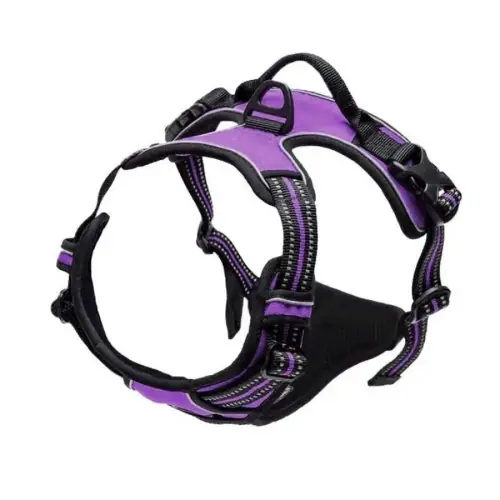 Image de Accessoires Chien : Colliers, Harnais & Laisse en Cuir