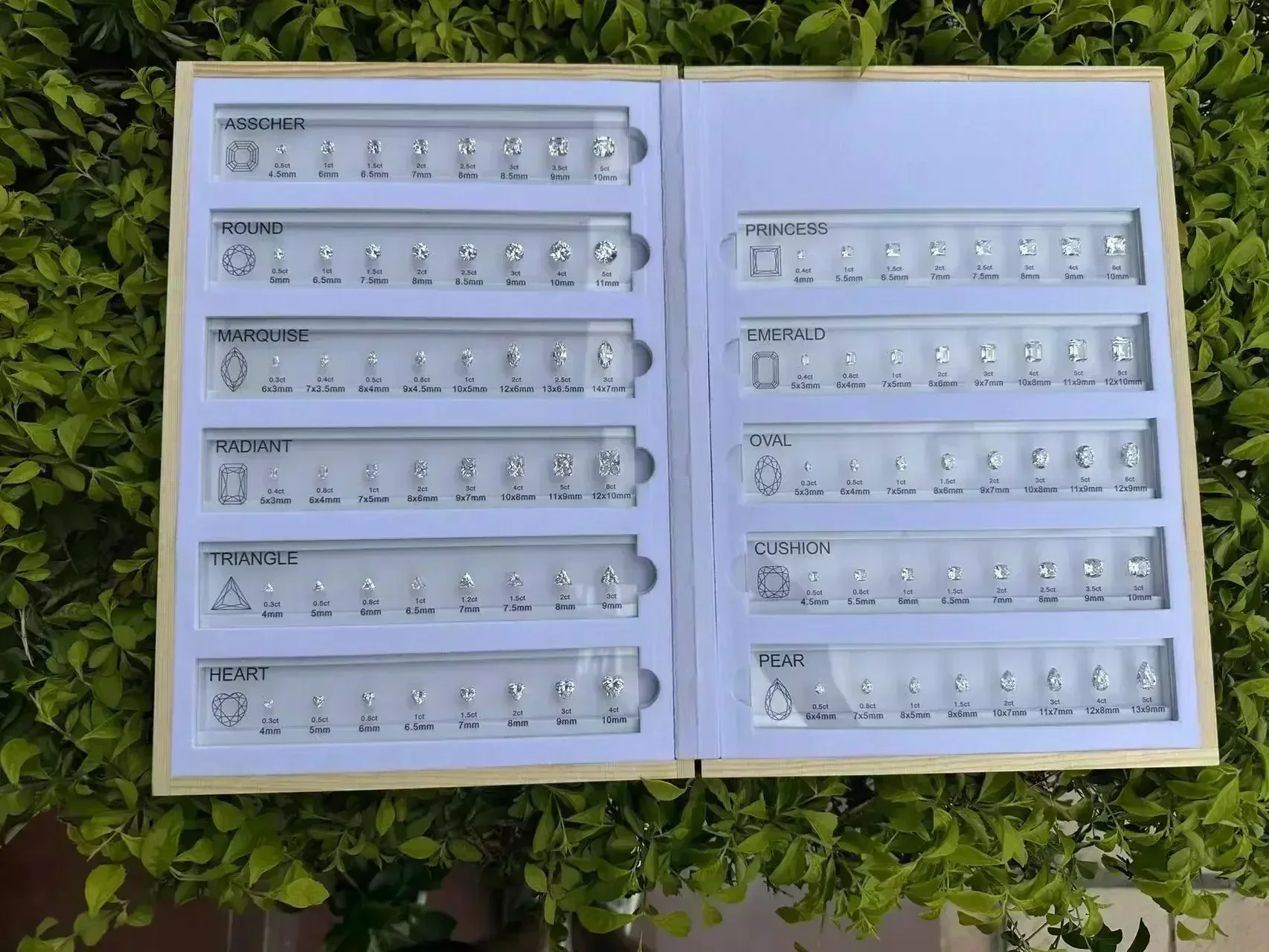 Vue 5 du produit