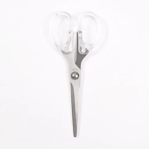 Silver scissors