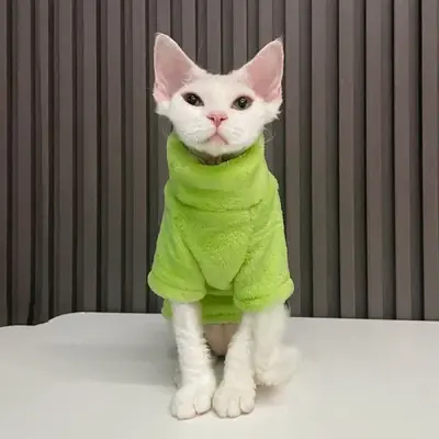 Image de Vêtements stylés pour chats Sphynx - Pull à capuche douillet