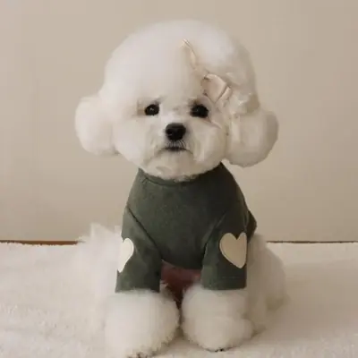Image de Chien Vêtements Hiver Chaud - Chemise à Capuche Mignonne pour Chiots