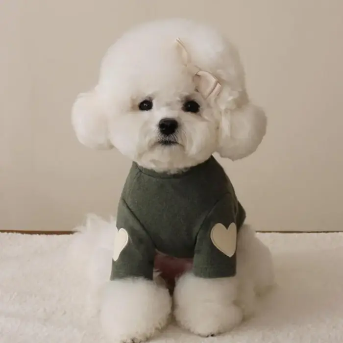 Image de Chien Vêtements Hiver Chaud - Chemise à Capuche Mignonne pour Chiots