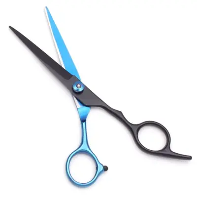 Image de Ciseaux de Coiffure Mr Rabbit 6 Pouces - Acier Inoxydable