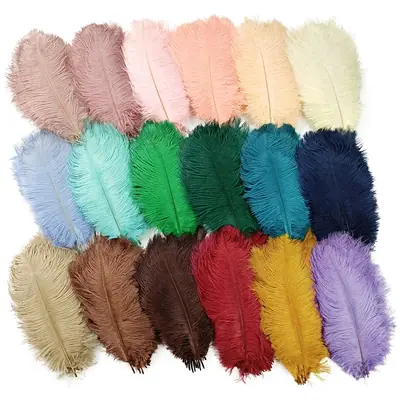 Plumes d'Autruche Colorées - Lot de 10 pour Décoration