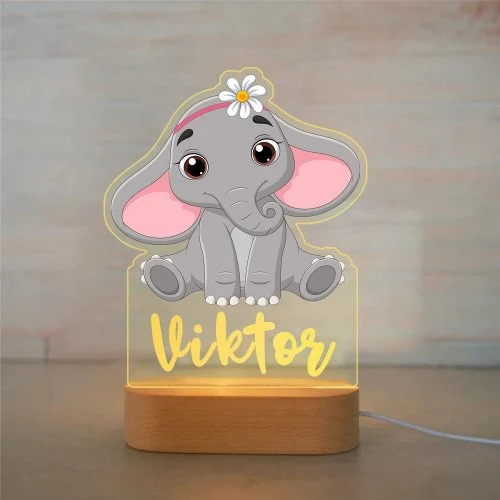 Vue 10 du produit