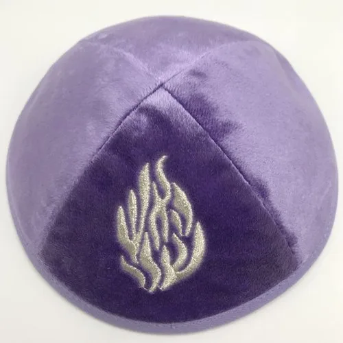 Viola