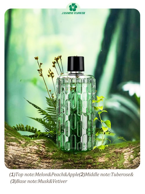 Afbeelding van Natuurlijke Automatische Aromatherapie Diffuser met Etherische Olie voor Volledige Luchtverfrissing en Geurverwijdering in Huis en Woonkamer