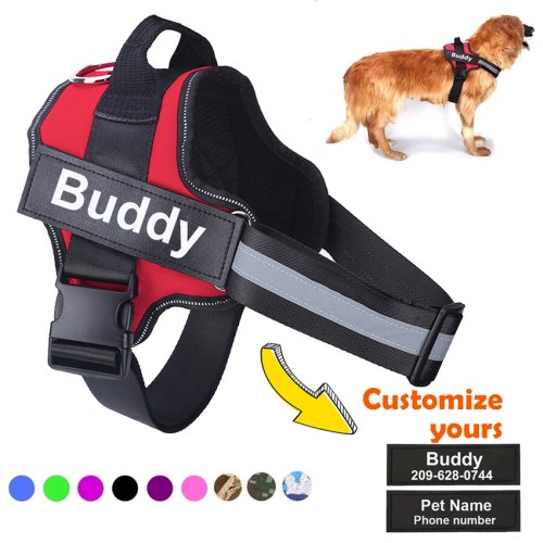 Pettorina No Pull per Cani Piccoli - Gilet Traspirante e Riflettente