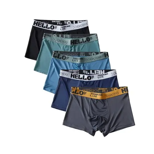 Image de Boxer Shorts Homme Respirants - Lot de 5 en Soie Glacée