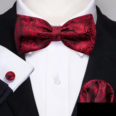 Image de Ensemble élégant de boutons de manchette, nœud papillon et mouchoir pour homme
