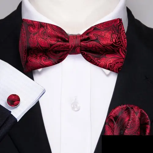 Image de Ensemble élégant de boutons de manchette, nœud papillon et mouchoir pour homme
