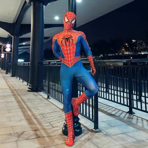 Bild von Spider-Man Kostüm für Erwachsene – Tobey Maguire Cosplay Zentai Anzug, Superheld Overall für Halloween, Karneval und Partys