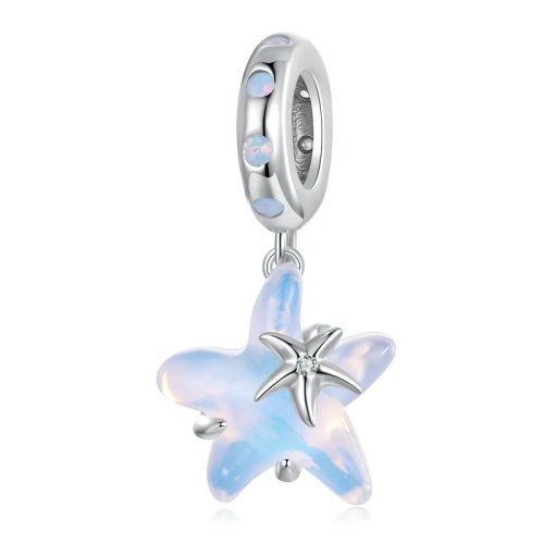 Vue 39 du produit