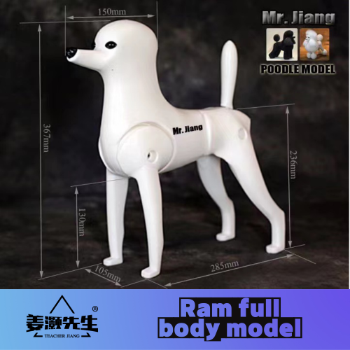 Imagen de Modelo de Perro Realista con Pelo Falso Completo para Prácticas de Modelado de Belleza - Incluye Esqueleto Estándar y Accesorios Profesionales
