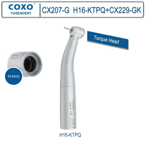 CX207-G H16-KTPQ