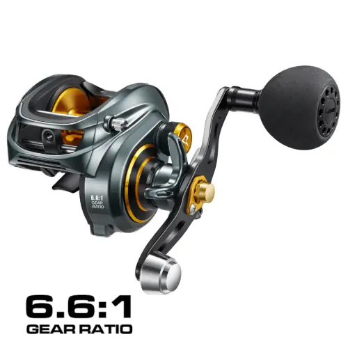Gris or 6.6
