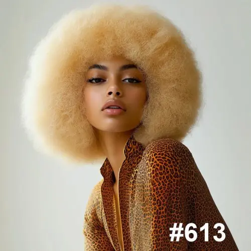 Image de Perruque Afro Grise Ombrée - Style Années 70