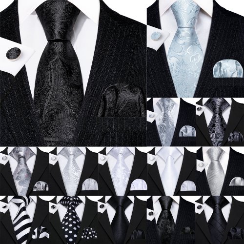 Bild von Elegantes Herrenkrawatten-Set in Schwarz, Weiß, Grau & Silber