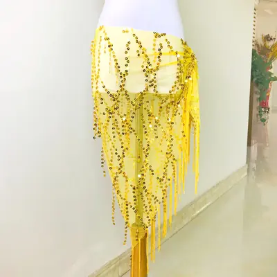 Image de Ceinture de Danse du Ventre Pailletée & Pampilles - Style Moderne