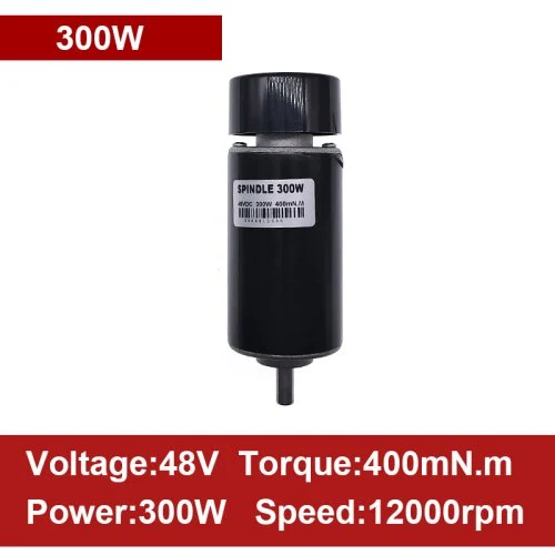 48V 300W