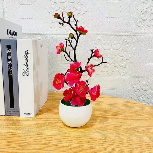 Rosa rot