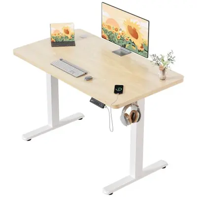 Bureau Électrique Réglable en Hauteur avec Prise USB