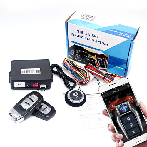 Immagine di Avviamento Remoto Auto con Allarme Universale