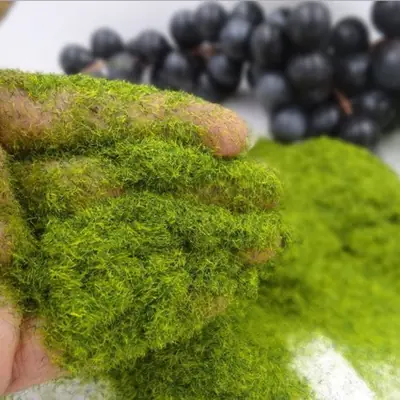 Image de Mini Jardin Artificiel - Mousse & Herbe Synthétique pour Déco DIY