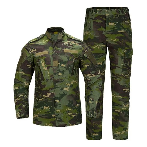 Groen CP
