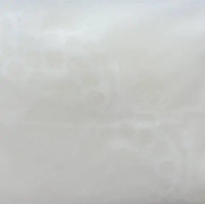 Image de Voile de Mariée Dentelle Haute Gamme - Blanc & Ivoire