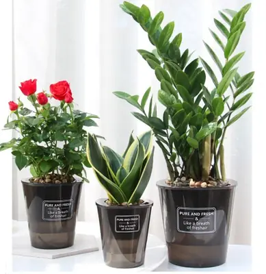 Image de Pot de Fleurs Auto-Arrosage - Sans Entretien