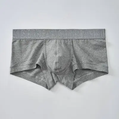 Image de Sous-vêtements Homme Coton Ajusté - Confort & Style