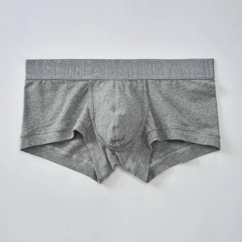 Image de Sous-vêtements Homme Coton Ajusté - Confort & Style