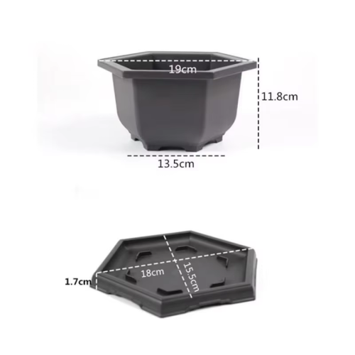 Vue 30 du produit