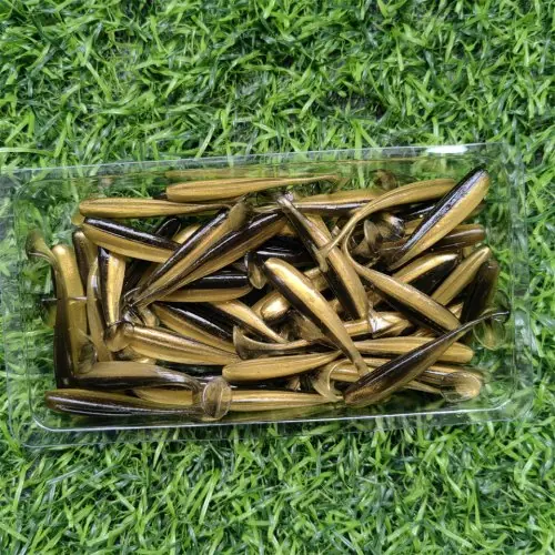 GD15 50PCS 02