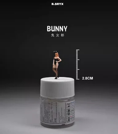 Vue 47 du produit
