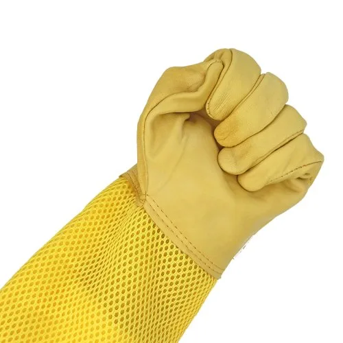 Vue 5 du produit