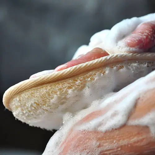 Image de Éponge de Bain Naturelle Exfoliante - Loofah Bio pour une Peau Douce