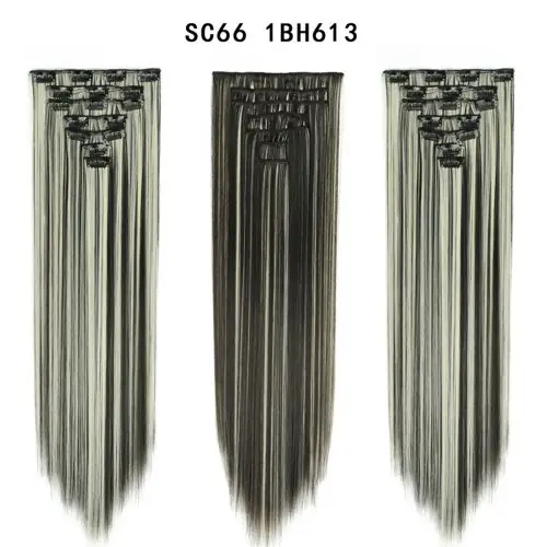 SC66 1BH613