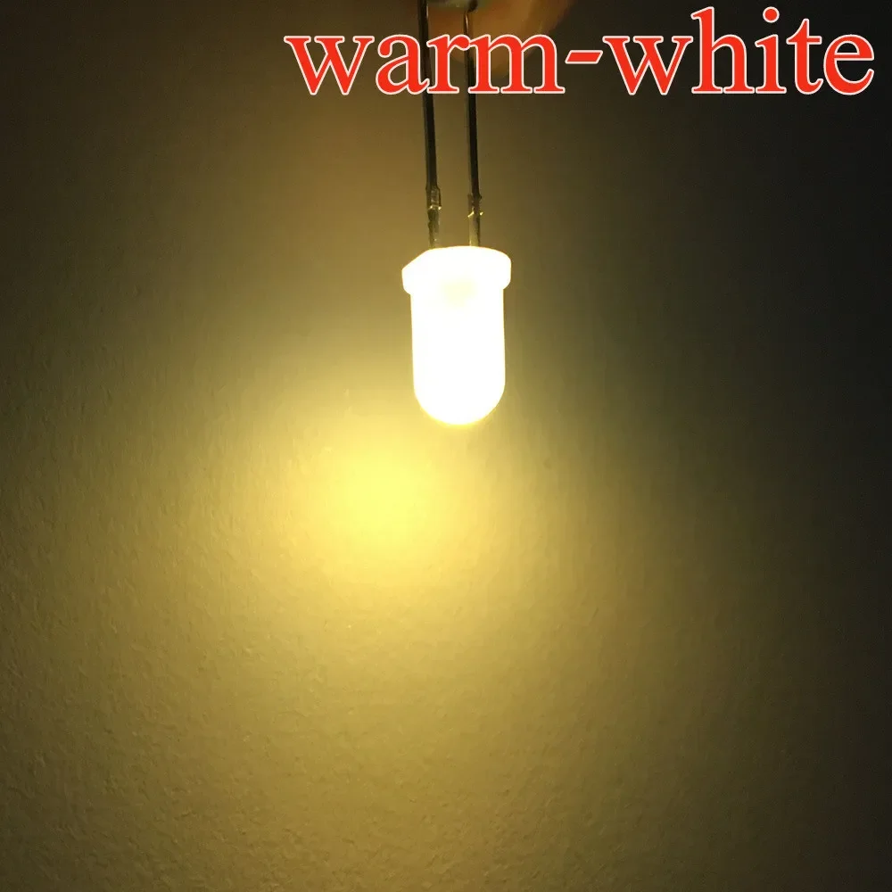 warm wit