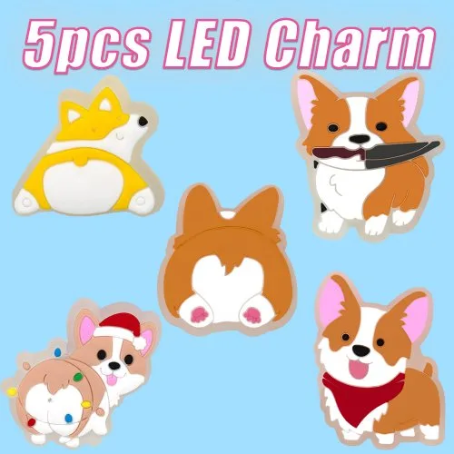 5PCS
