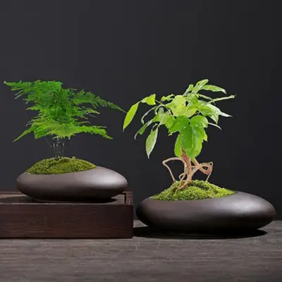 Image de Pot de Plantes Vintage Violet - Décoration Chinoise Respirant