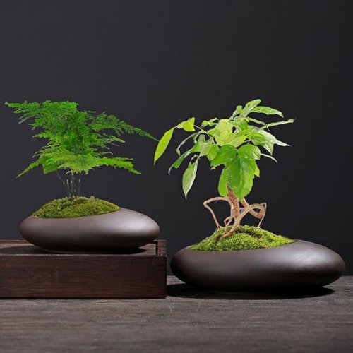 Image of Retro Purple Clay Plant Pot Chinese Style Orchid Asparagus Viridis Flower Pot Breathable Vase Desktop Ornaments Garden Decor