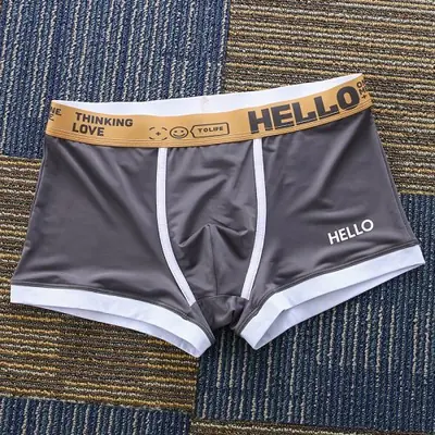 Image de Boxer Homme Solide - Sous-Vêtement Confortable